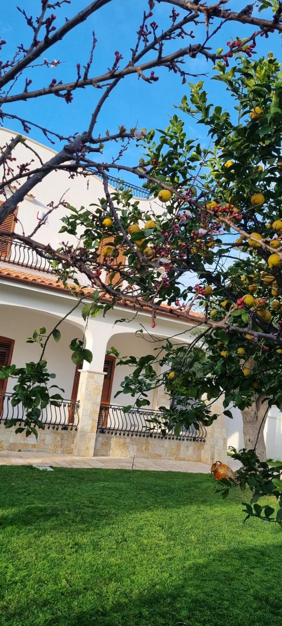 Villa Guajira Бари Екстериор снимка
