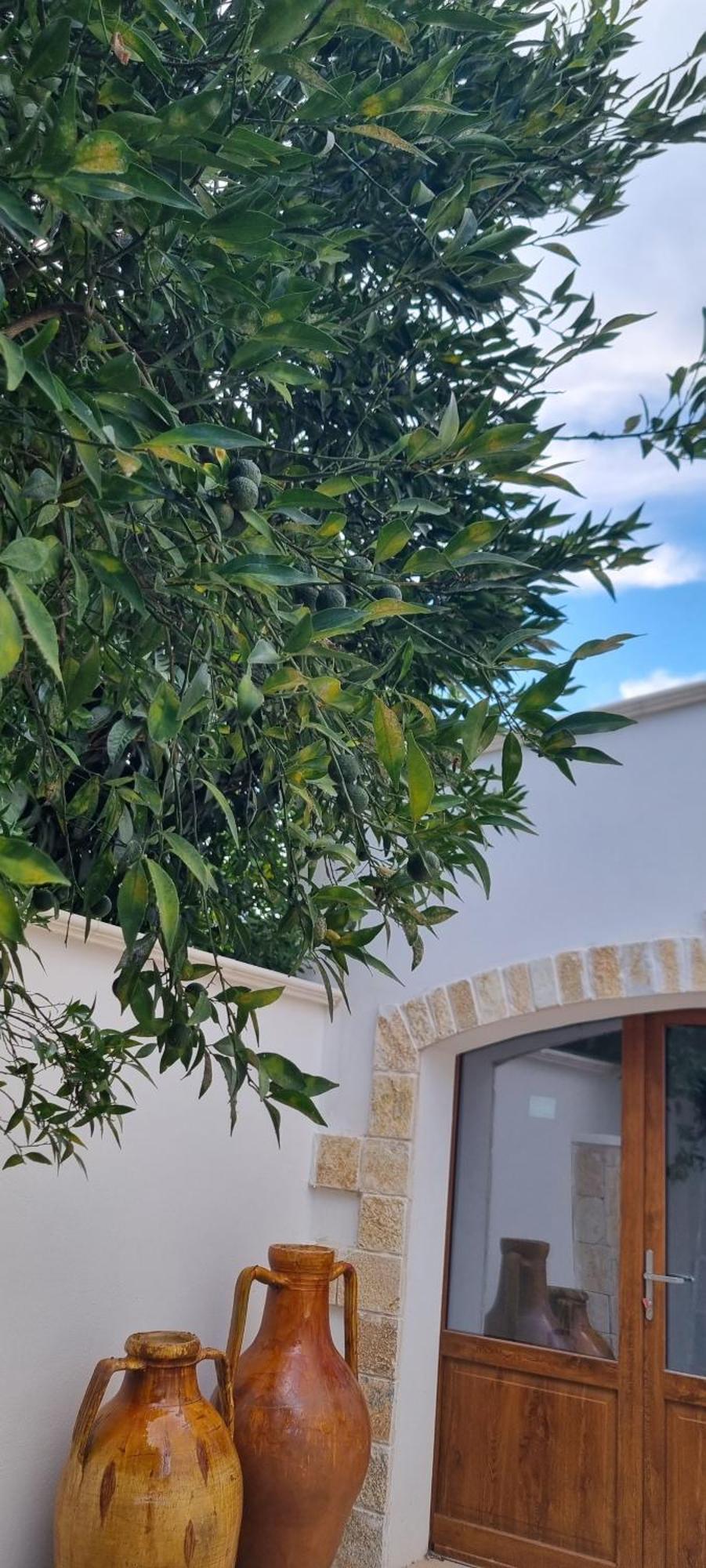 Villa Guajira Бари Екстериор снимка