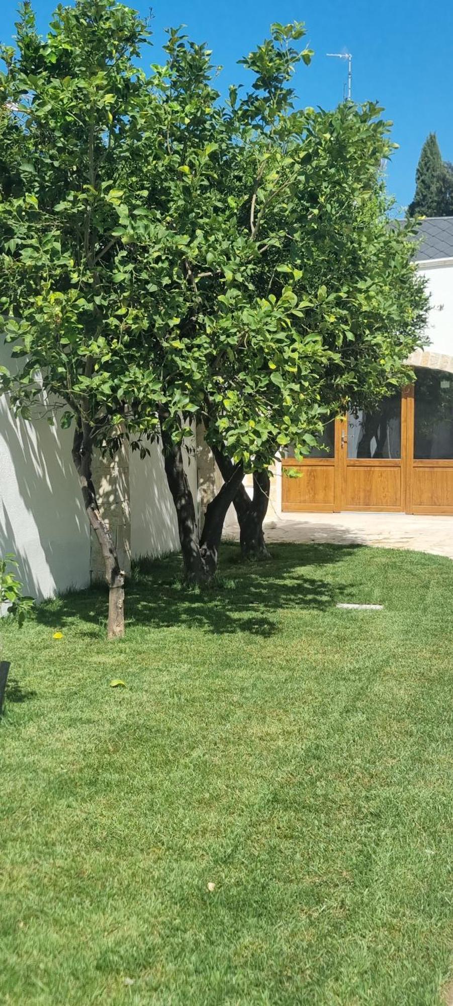Villa Guajira Бари Екстериор снимка