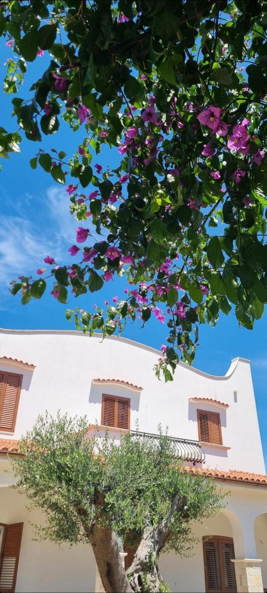 Villa Guajira Бари Екстериор снимка